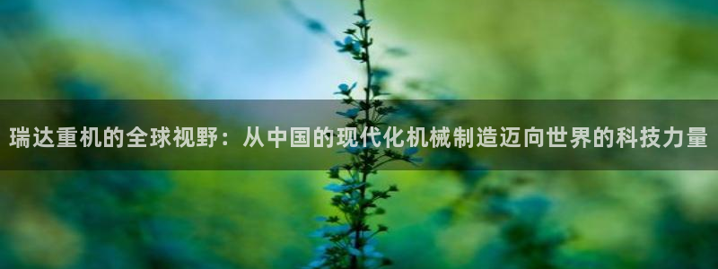 河源市天宏娱乐：瑞达重机的全球视野：从中国的现代化机械制造迈