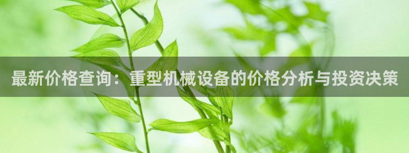 天宏娱乐c 判官：最新价格查询：重型机械设备的价格分析与投资