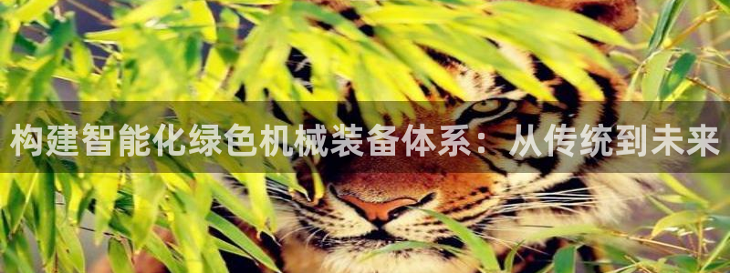 天宏娱乐小号怎么玩：构建智能化绿色机械装备体系：从传统到未来
