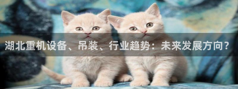 天宏娱乐丘v33300：湖北重机设备、吊装、行业趋势：未来发