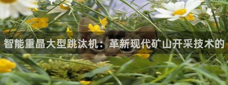 天宏娱乐直播团队介绍：智能重晶大型跳汰机：革新现代矿山开采技