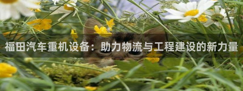 天宏娱乐会所：福田汽车重机设备：助力物流与工程建设的新力量