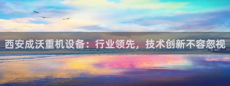 天宏娱乐登陆：西安成沃重机设备：行业领先，技术创新不容忽视