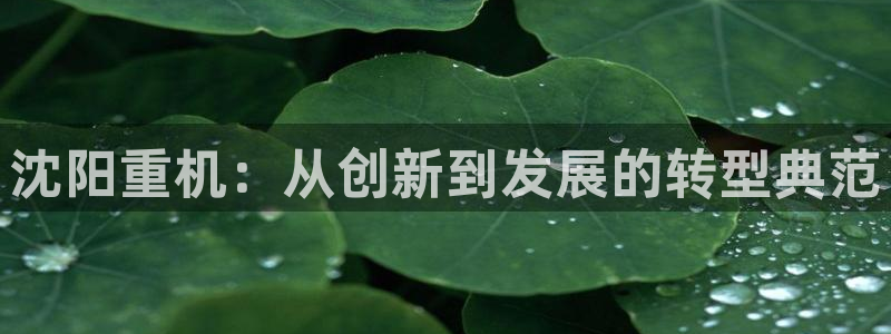 天宏娱乐直播间怎么进