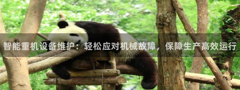 天宏娱乐指挥官