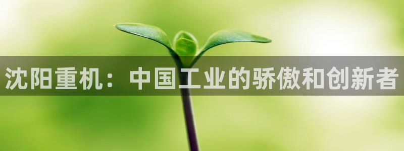 河源天宏娱乐：沈阳重机：中国工业的骄傲和创新者